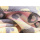 Biederlack Plaid mit Zierstich Young & Fancy  Wild Leo Größe 150 x 200