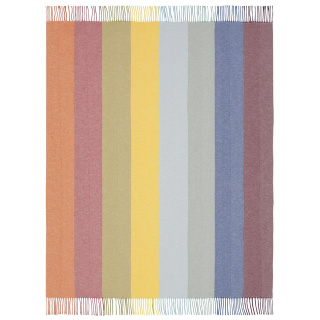 Biederlack Fransenplaid Colour lines Farbe Größe 130 x 170
