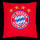 FC Bayern München Bettwäsche rot/weiß Übergröße 155x220cm+80x80